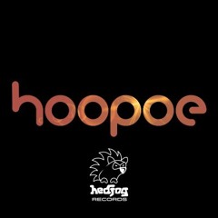 Hoopoe