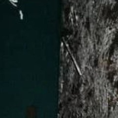 Gorgi