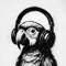 treetop tunes