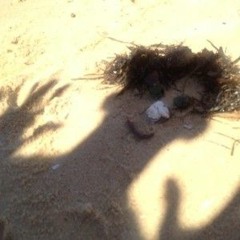 emmar turner & trust_brands