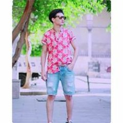 دولسي القائد