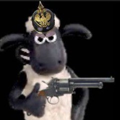 BLACK SHEEP MILITIA