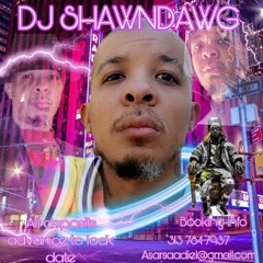 DJ SHAWNDAWG