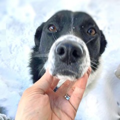 9 subwoofers in the back