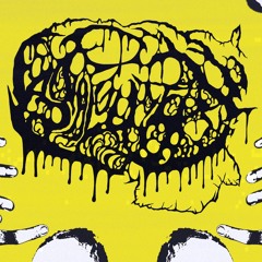 Anal Gutfuck