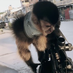 LUIS.4TRIX 🇮🇱🤟🏼