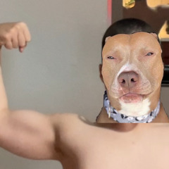 kevinvxi