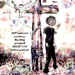 kflip