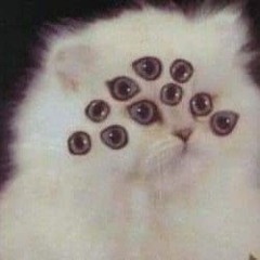 hakku fiu