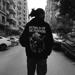 Axel Stone
