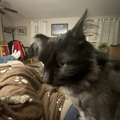 TheFatRat - Xenogenesis (Outro Song)