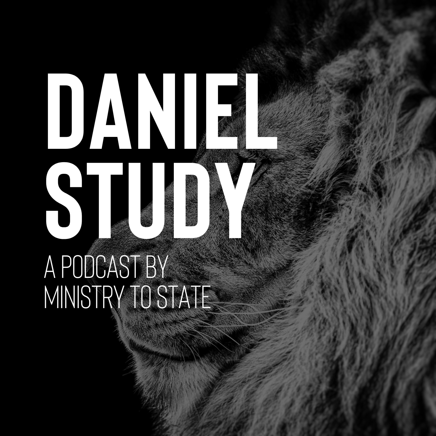 Daniel Study