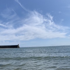 ⋆♱⋆𝖒𝖆𝖙𝖎𝖋𝖑𝖗𝖟⃓⋆♱⋆