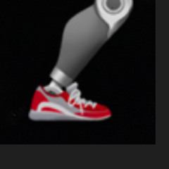 Robo Legg