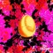 MixedEgg