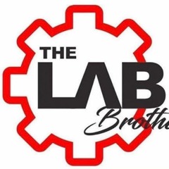 Lab brothers