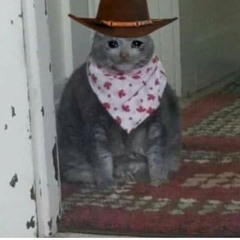 bingus