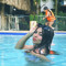 Majo Gomez