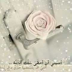 دارى يا قلبى لحمزة نمرة من غير موسيقى