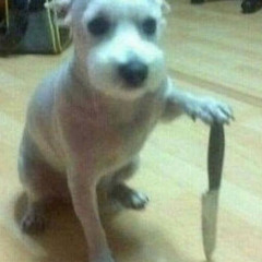 basroubroeks