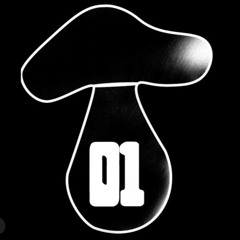 Dvnrave