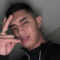 Sebastian Hermosa