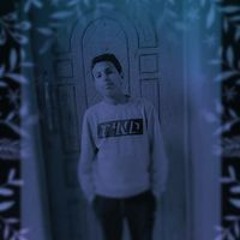 احمد مدحت البانوبي