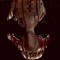 MPX_ASYLUM
