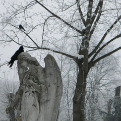 lost in our thoughts