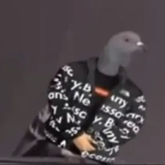 freshpigeon