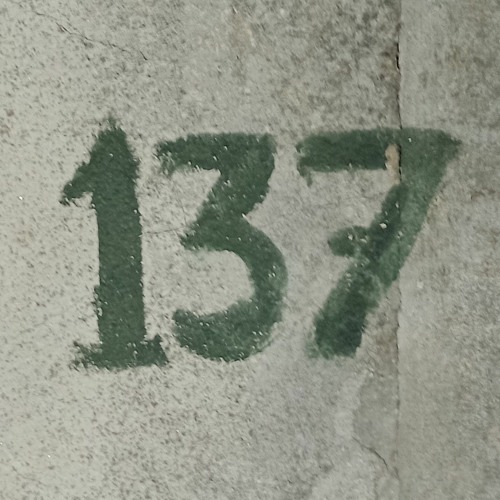 137’s avatar