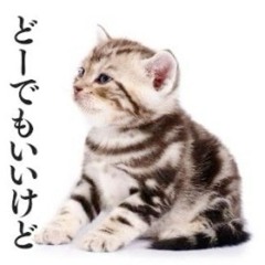 moooooxy