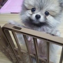 이윤경