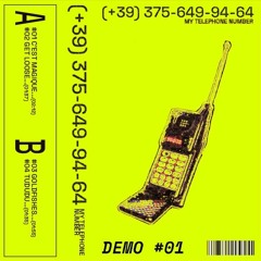 +39 3756499464 (My Telephone Number)