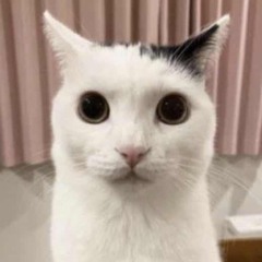 ele