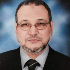 Mohamed Abdelsalam