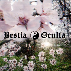 ꕤ༻𝔅𝔢𝔰𝔱𝔦𝔞 ☯︎ 𝔒𝔠𝔲𝔩𝔱𝔞༺ꕤ