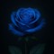 blue rosa