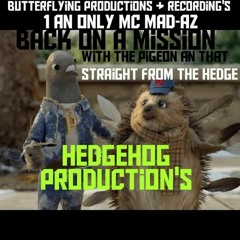 Hedgehog Productions
