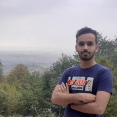 mohammadsaravani