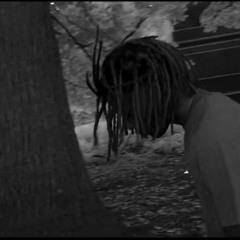 xombiie (@blattbabies)