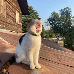 นัทเนยยยสุดเฟี้ยววว