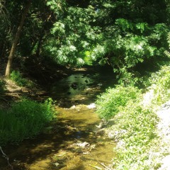 Ronald Raul Romero Guzman