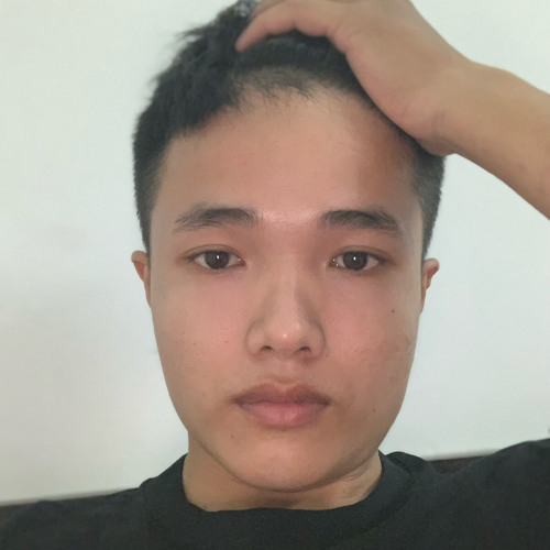 Viet Hoang’s avatar
