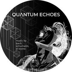 Quantum Echoes