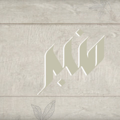 سورة البقرة | محمد أيوب