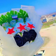 مازن محمد