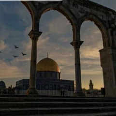 ‏سفيان أبو عبد الوهاب