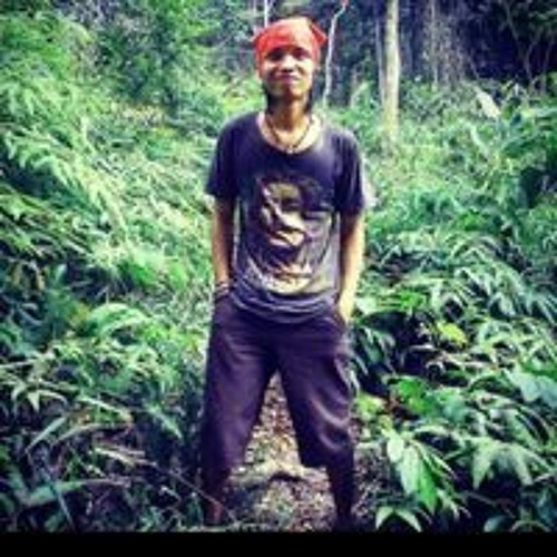 Fadly Rolling’s avatar