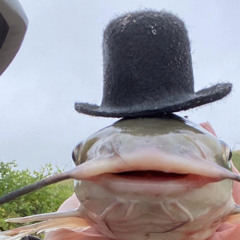 𝕄𝕒𝕟𝕚𝕖𝕜